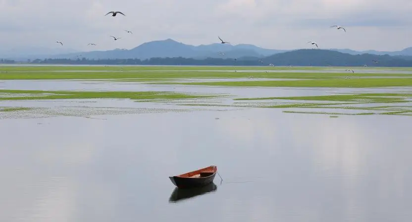 borsakale-vromoner-shera-sthan